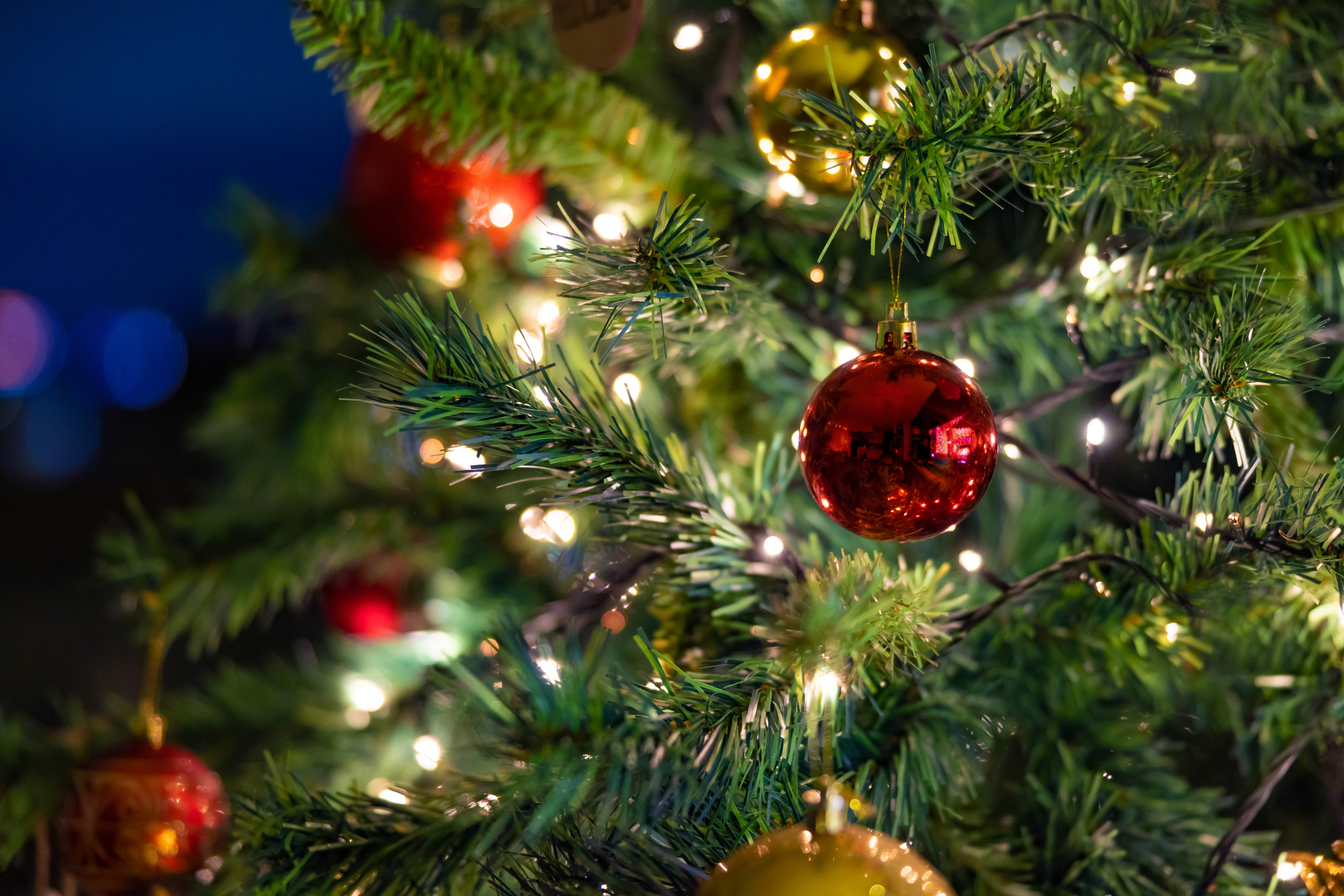 Close-up of a decorated Christmas tree with a shiny red ornament in focus, surrounded by warm white string lights, red and gold ball ornaments, and green pine branches against a blurred blue background.
