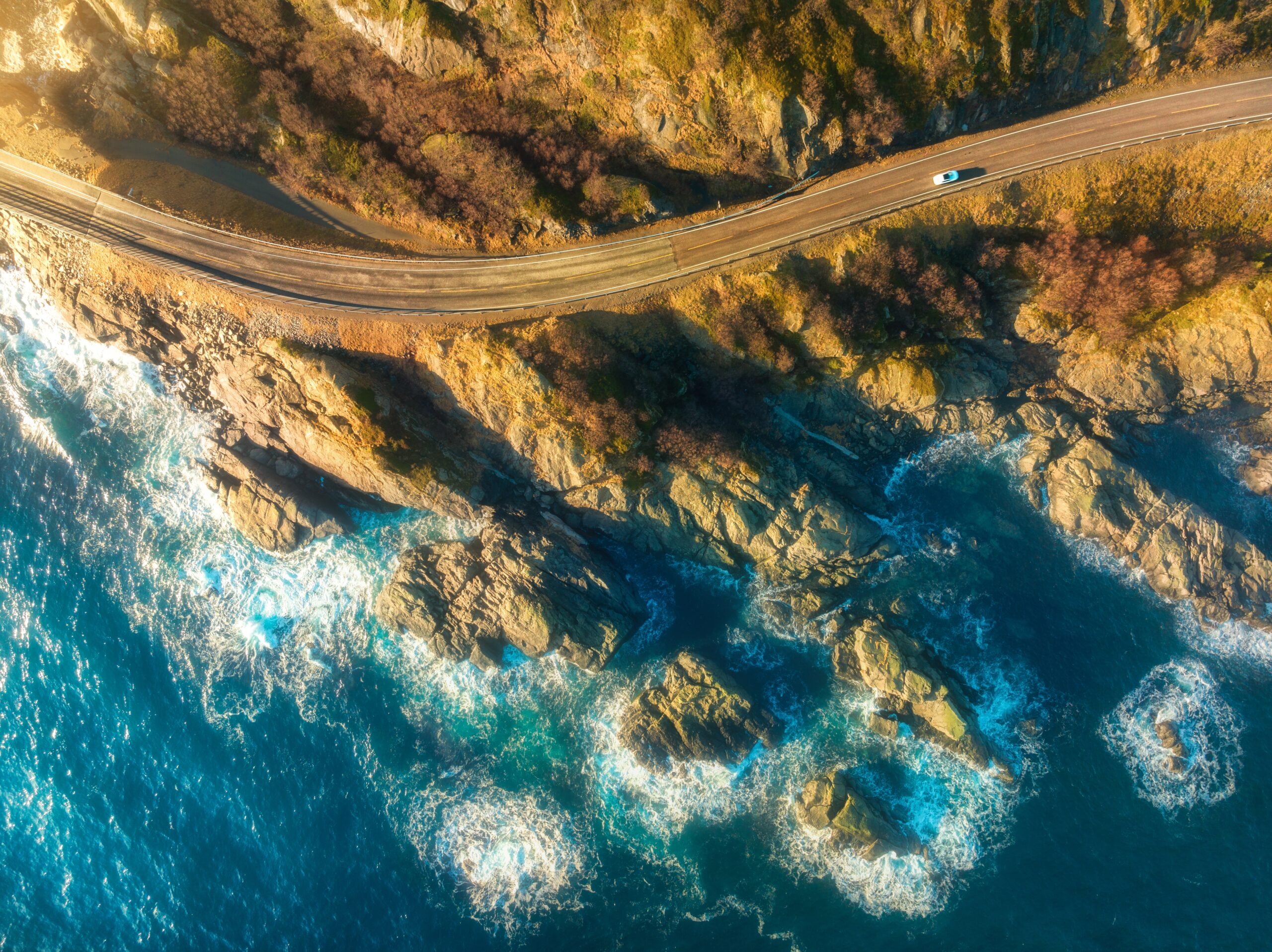 Travel Industry Monitor: Q1 2026