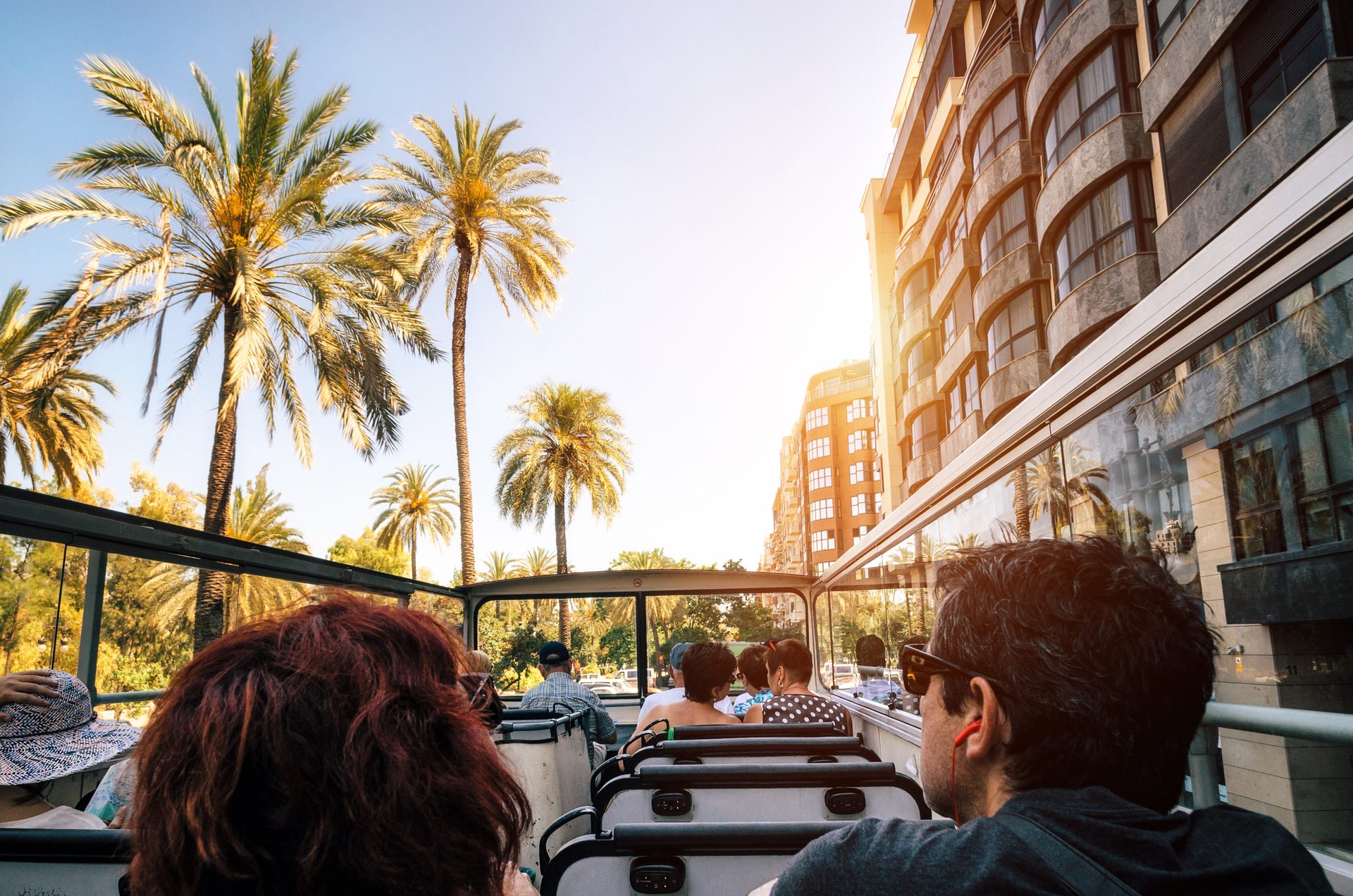 Open bus tour with palm tree view